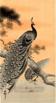 花 鳥 Painting - 孔雀と雌鳥 大原古邨
